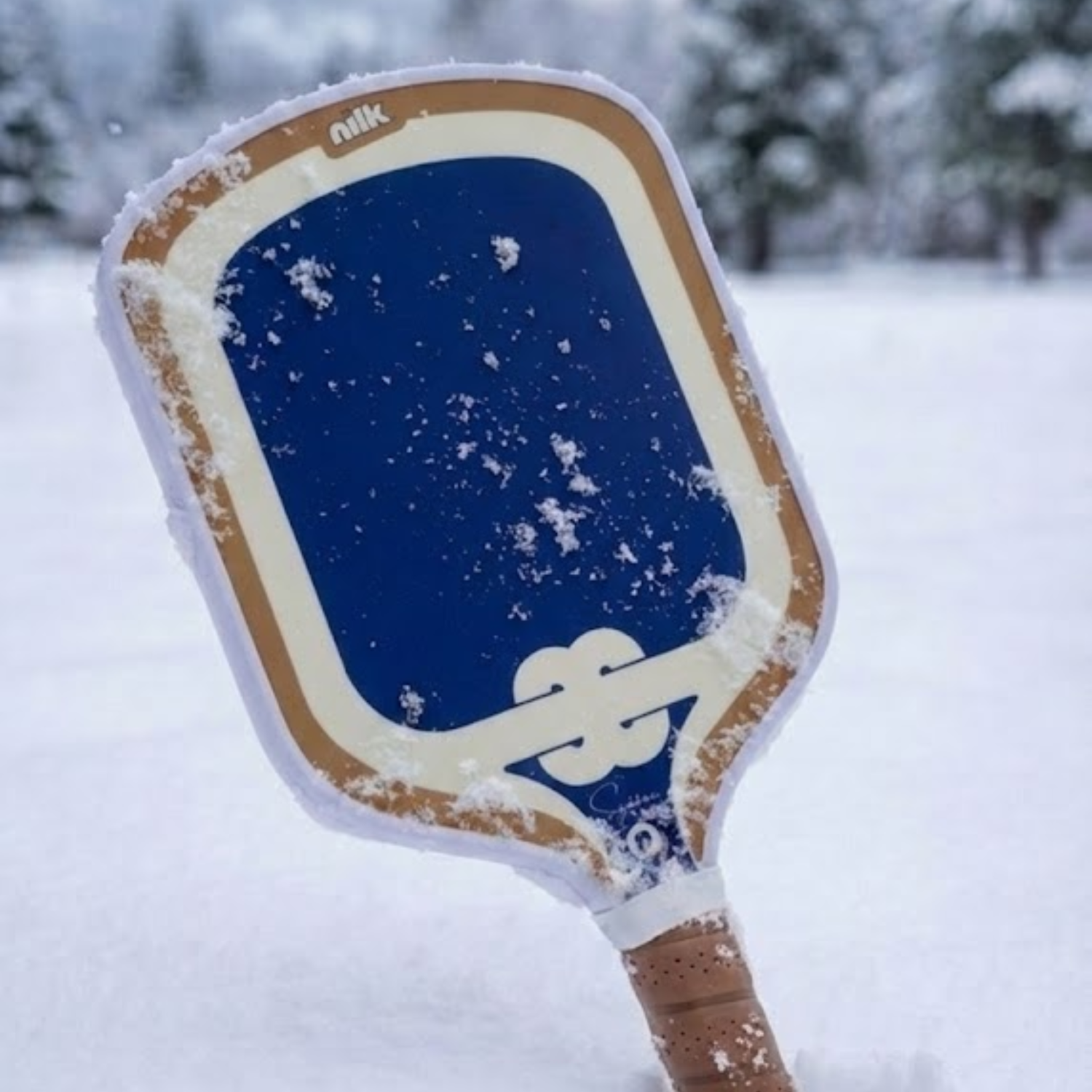 Blue Taro | NILK Signature Pickleball Paddle - Best for Beginners